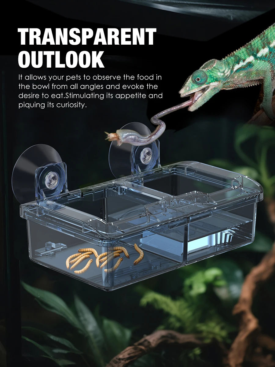 Reptile Ceramic Bowl - Anti-Escape Design