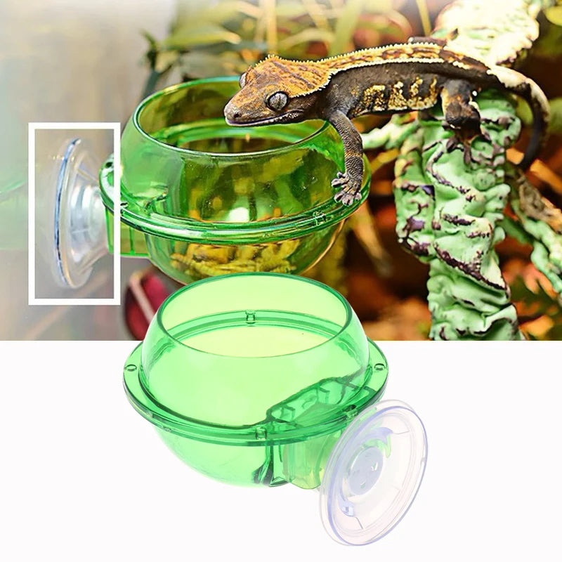 Arboreal Reptile Sucker Feeder Bowl