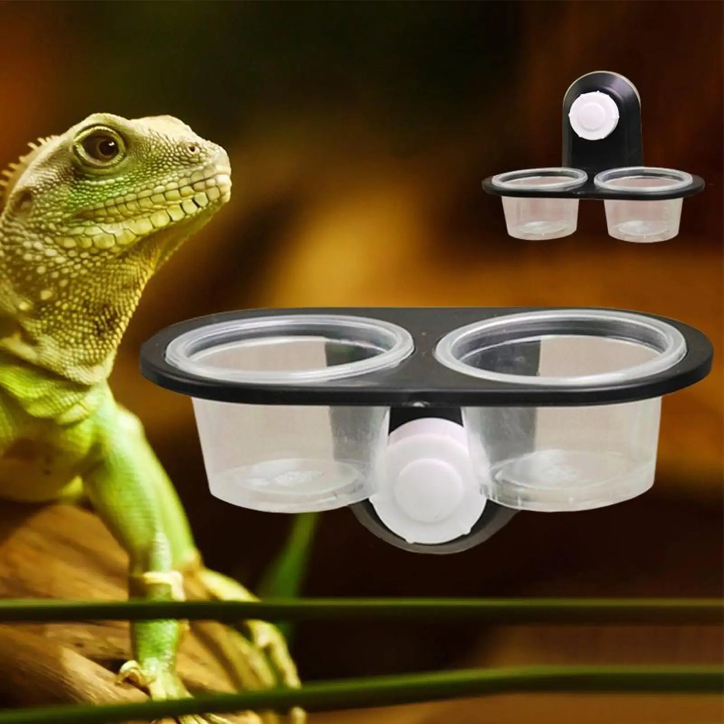 Reptile Tank Accessories Insect Spider Ants Nest Snake Gecko Food Water Feeding Bowl Terrarium Breeding Feeders Box Pets Supplie