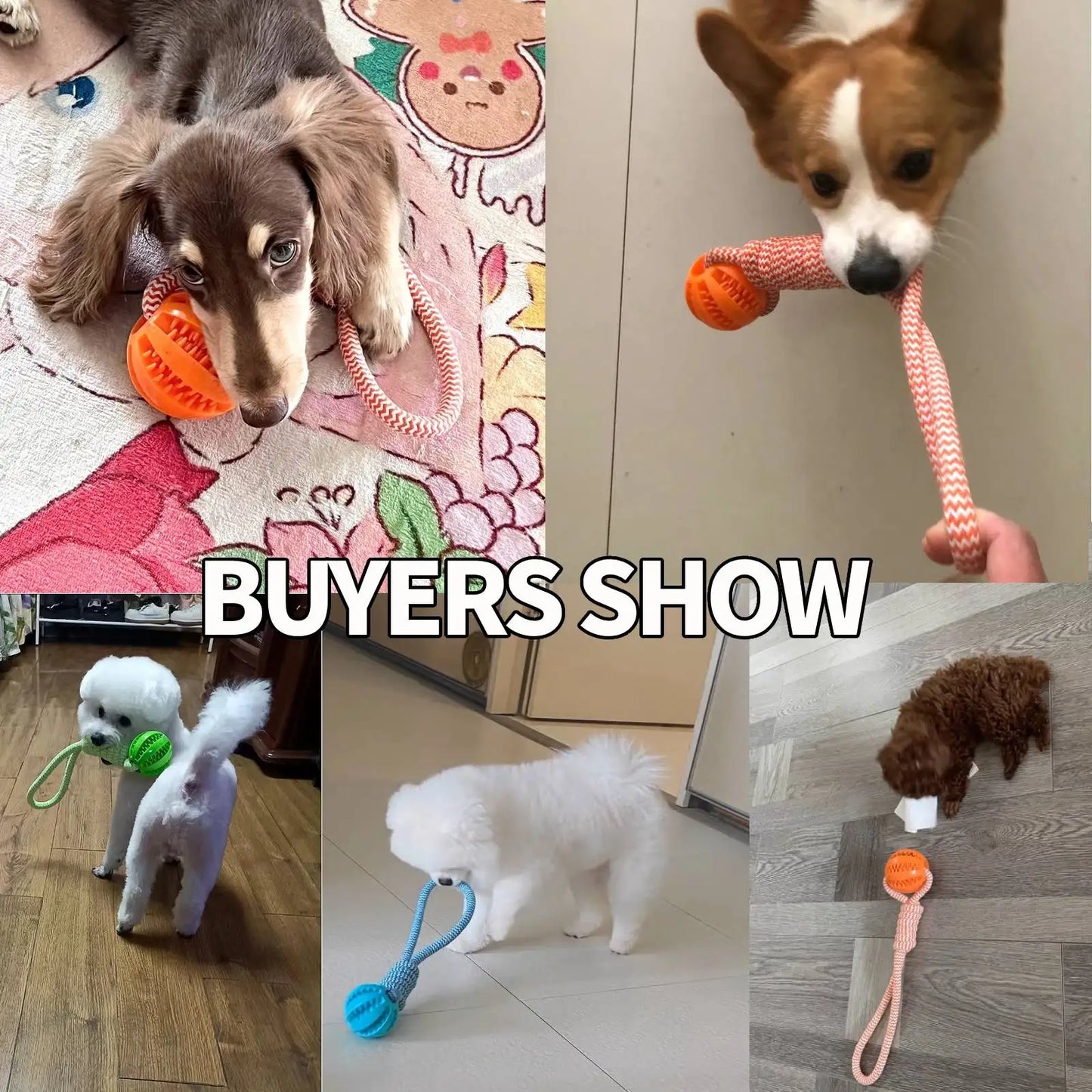 Interactive Dog Treat Ball with Rope