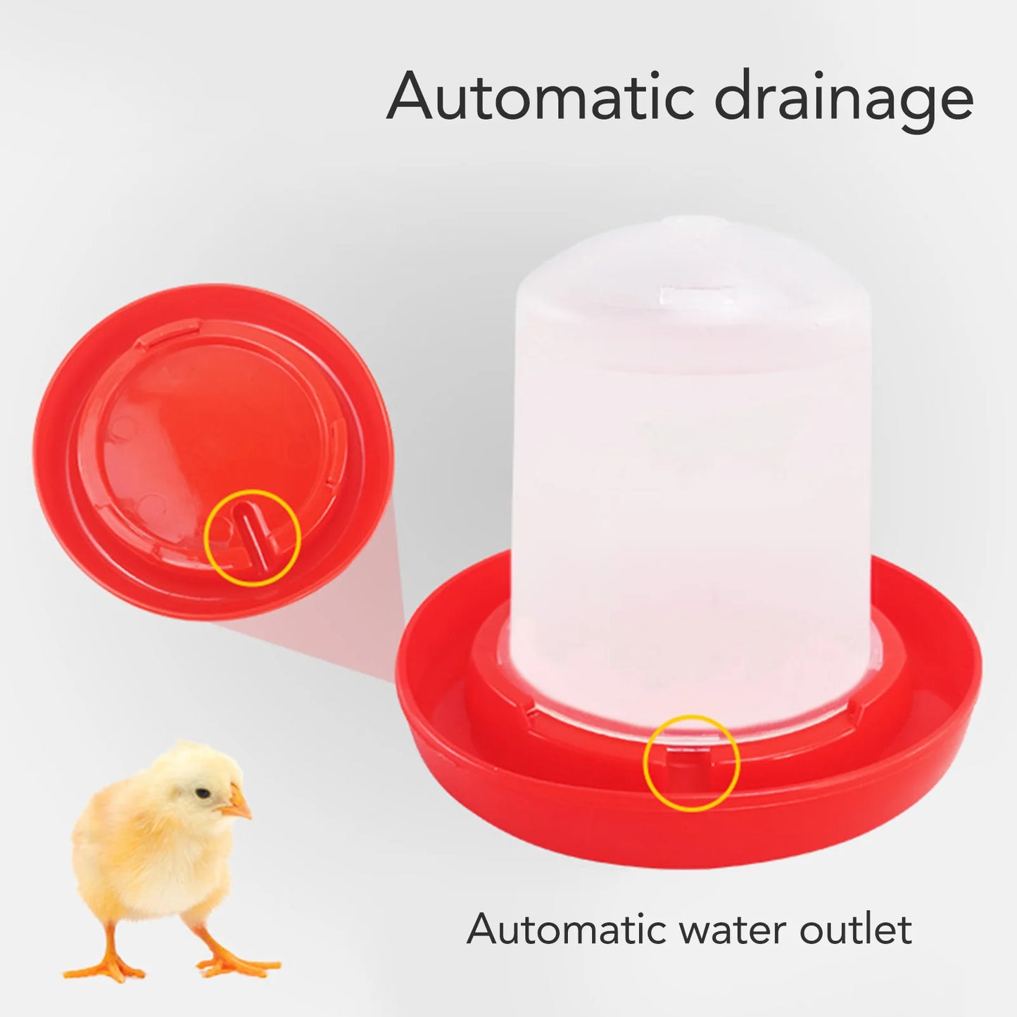 Poultry Feeder Chick Feeder and Waterer Kit Rotary Sleeve Design Automatic Feeding and Watering Poultry Feeder and Waterer Combo