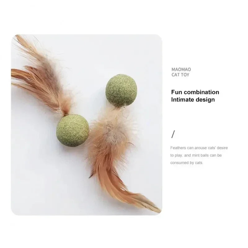 Title (SEO, ≤40 chars): Edible Catnip Ball Toy Mint Infused Cats