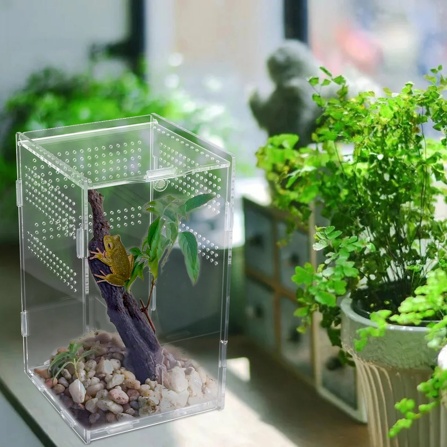 Reptile Feeding Box Acrylic Transparent Terrarium Habitat Insect Spider Lizard Scorpion Bearded Dragon Breeding Arboreal Cage