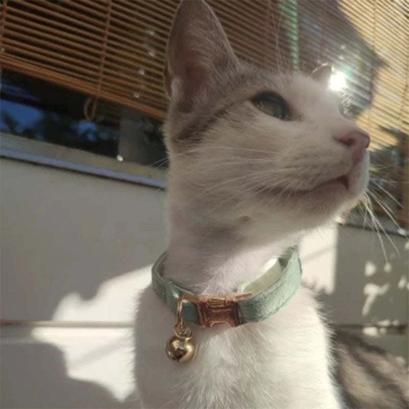 Title (SEO, ≤60 chars): Velvet Cat Collar With Bowknot And Breakaway Adjustable