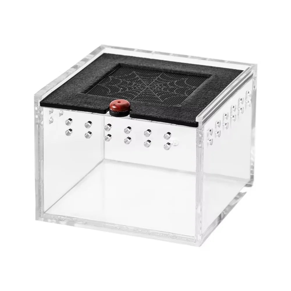 Black Acrylic Insect Feeding Box For Reptiles Lizard Silkworm Scorpion Beetle Pet House 8.5x9x6.5 cm
