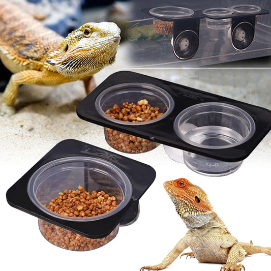 Reptile Suction Cup Feeder Bowl