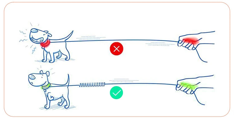 Truelove Pet Dog Leash Stretchable Elastic Buffer Nylon Seat Belt Can be Used with Chest Strap For All Varieties Pet TLL29712