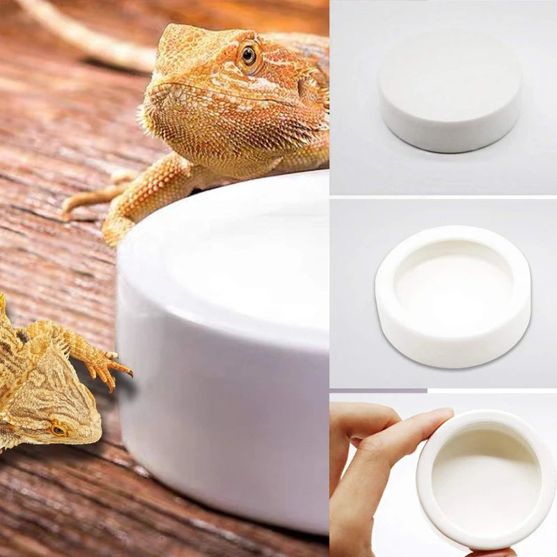 Reptile Water Food Bowl Anti-Escape Ceramic Feeder Dish for Lizard Hermit Gecko Chameleon Corn Snake Bearded Dragon Accessories