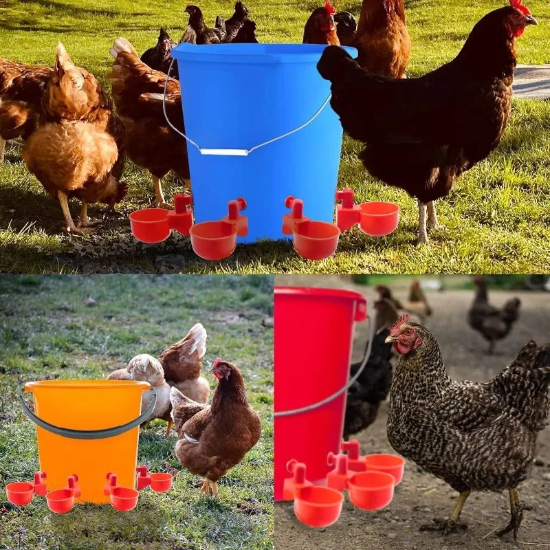 10/20 Pcs Chicken Drinking Bowl Poultry Automatic Water Dispenser Pigeon Small Chick Feeding Bowl Chicken Coop Water Dispenser