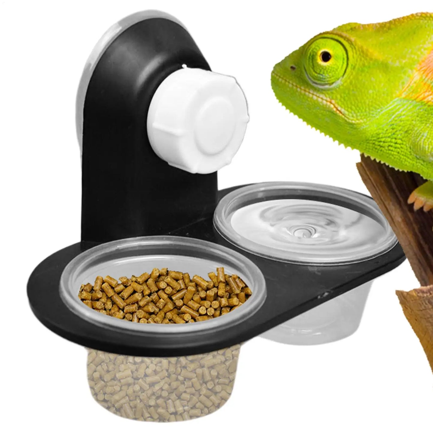 Reptile Tank Accessories Insect Spider Ants Nest Snake Gecko Food Water Feeding Bowl Terrarium Breeding Feeders Box Pets Supplie