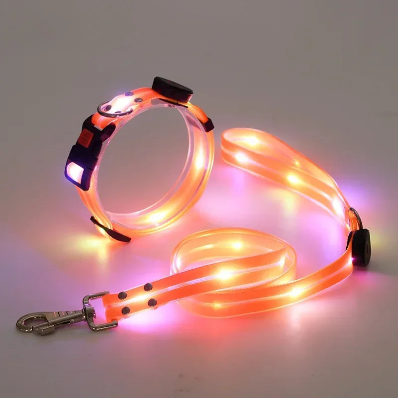 Nighttime Luminous Collar and Traction Rope Pet Collar with Nylon Webbing Dog Leash with Night To Prevent Getting Lost Cat Chain