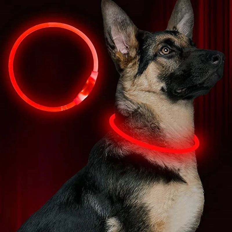 PetGlow LED Dog Collar - USB Rechargeable Night Safety
