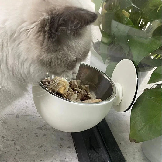 Stainless Steel Wall Mount Dog Bowl Anti Spill Magnetic Elevated Pet Food Bowl Fixed Mounted Cat Bowl Dishwasher Safe Hot Item