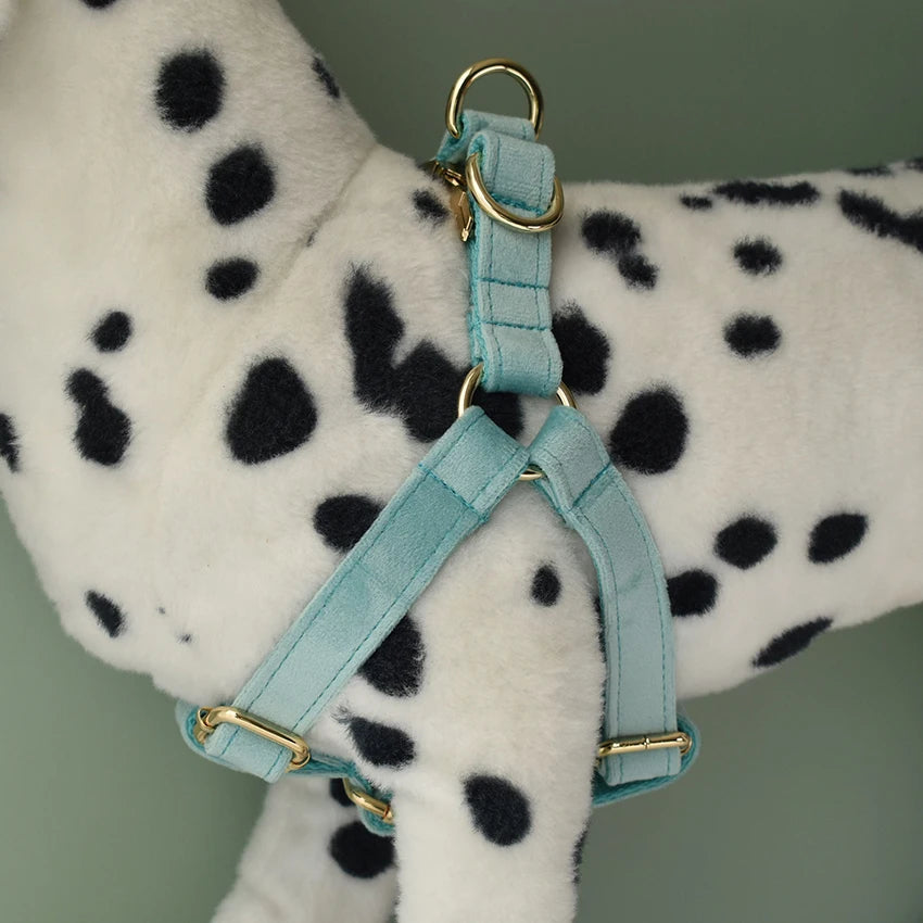 Dog Collar Leash Walking Training Rope Pet Supplies Soft And Durable Use For Golden Retriever Alaskan Malamute Flannelette 29