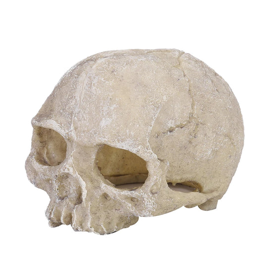 TOPINCN Skull Hideout Resin Statue Reptile Cave Decor