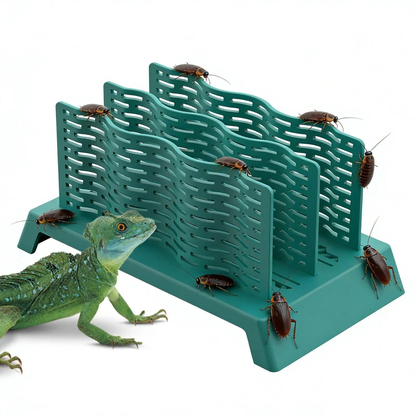 Reptile Feeder Anti Escape Acrylic Bowl Chameleon Lizard Gecko Dubia Roach Cricket Tank Terrarium Wall Mount Vivarium Accessorie