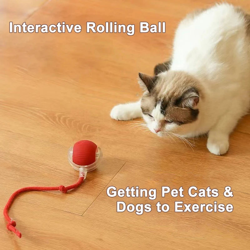 Smart Pet Toy 360° Automatic Interactive Dog Smart Ball Toy with Rope Interactive Cat Toys USB Charger Rolling Ball for Cats