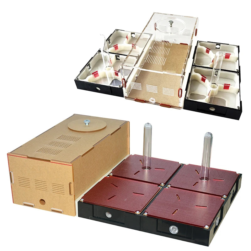 Acrylic Ant Farm Unlimited Expansion.