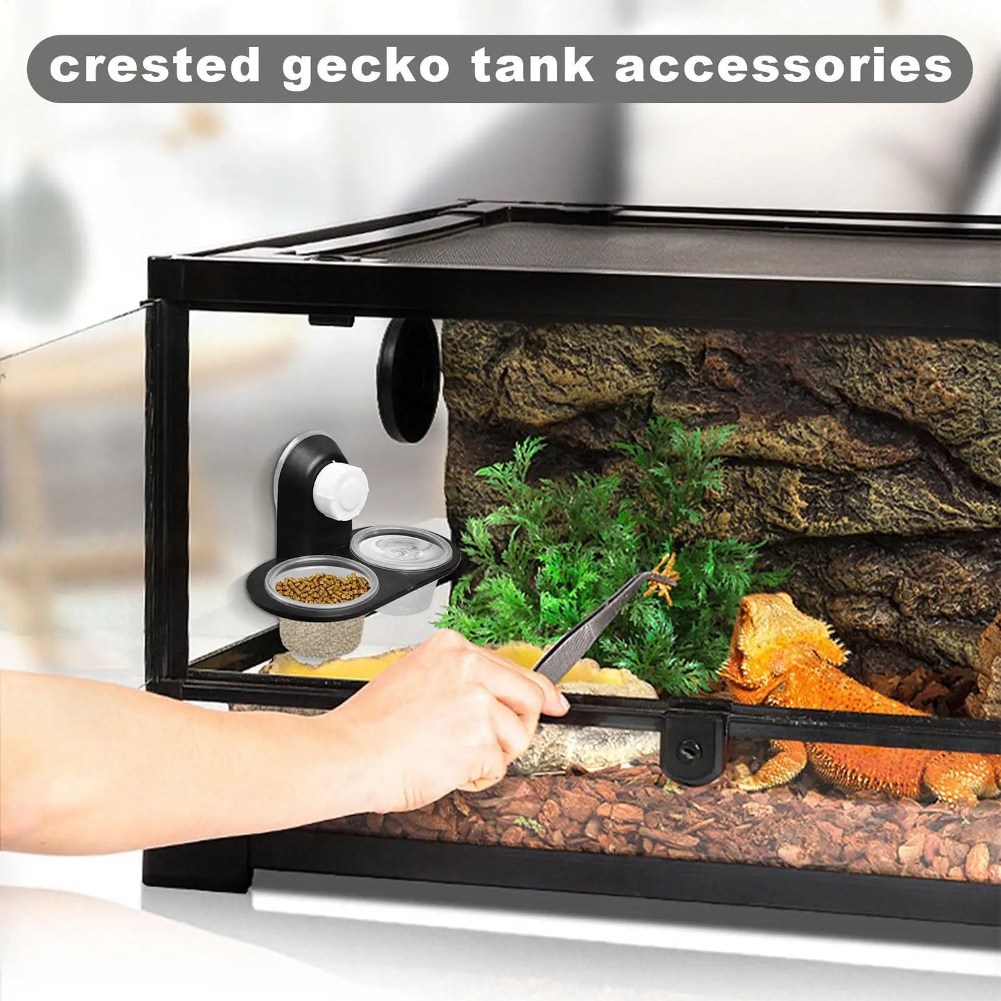 Reptile Tank Insect Spider Ants Nest Snake Gecko Food Water Feeding Bowl Terrarium Breeding Feeders Box Reptile Ideal Feeder