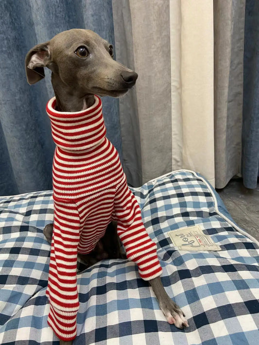 Italian Greyhound Red Striped Sweater