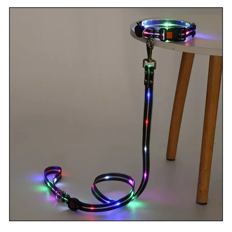 Nighttime Luminous Collar and Traction Rope Pet Collar with Nylon Webbing Dog Leash with Night To Prevent Getting Lost Cat Chain