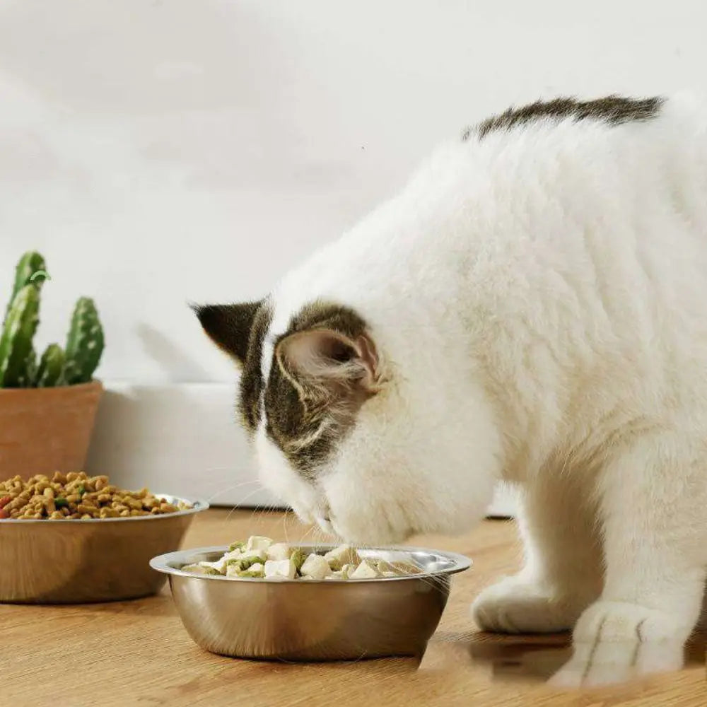 Pet Supplies Large Capacity Dog Bowl Stainless Steel Non-rust Cat Water Feeder Bowls Silver Cat Feeder Puppy
