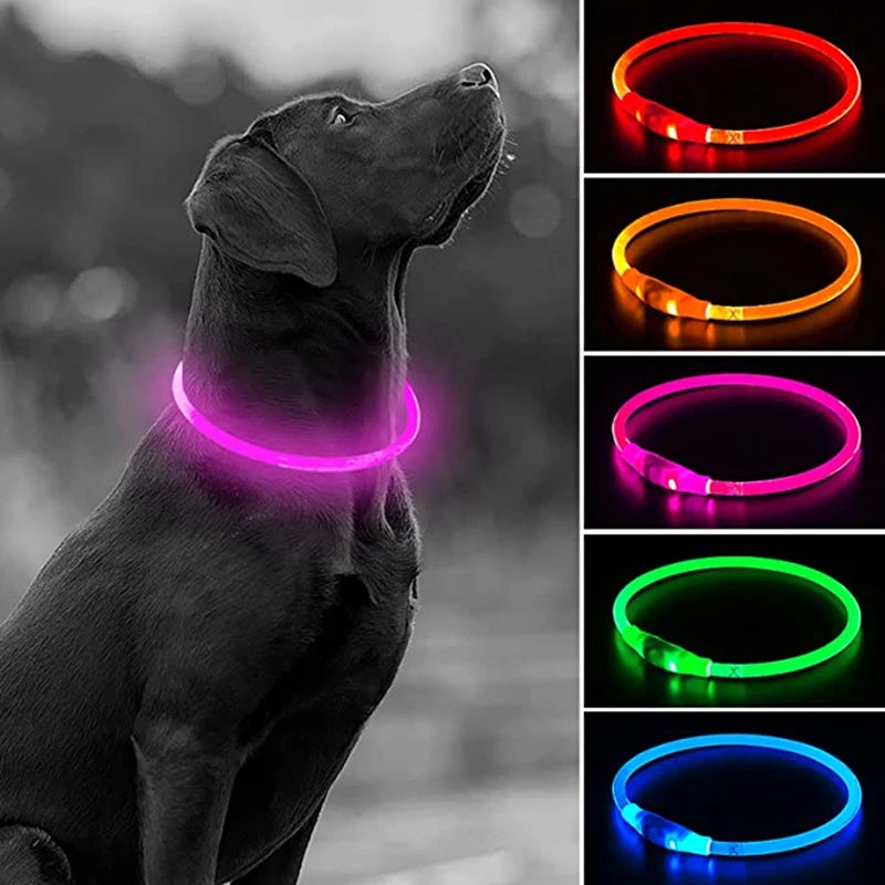 PetGlow LED Dog Collar - USB Rechargeable Night Safety
