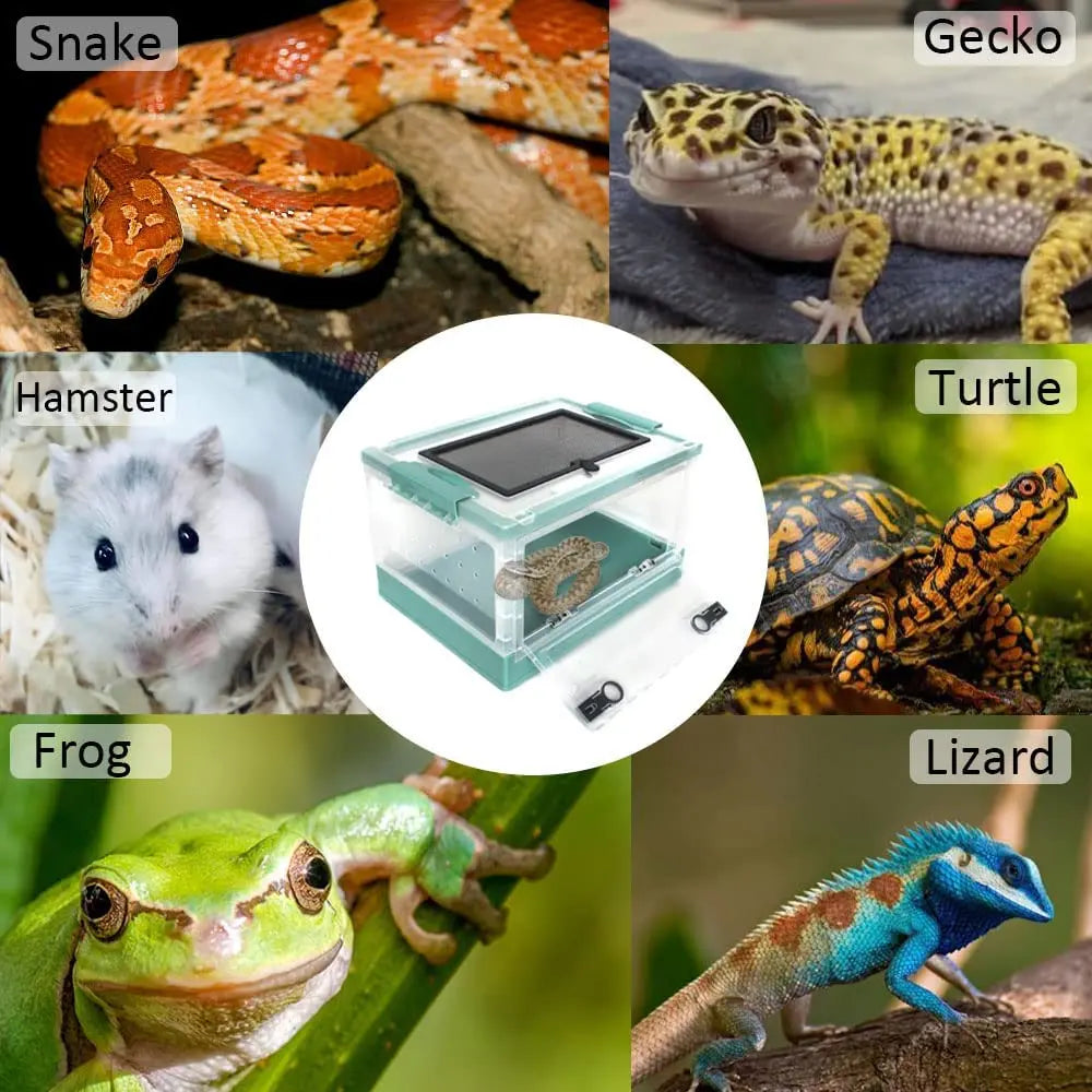 Archlight Foldable Terrarium Box