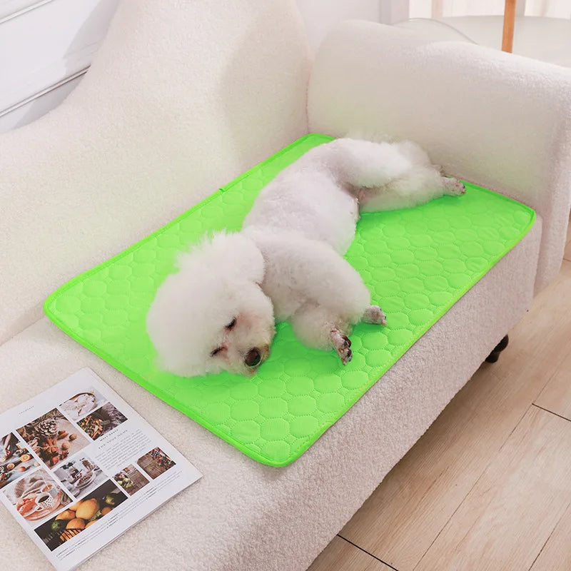 Reusable Pet Diaper Mat Dog Mat Washable Dog Pee Pad Waterproof Training Pad Urine Absorbent Mat for Car Seat Floor Sofa