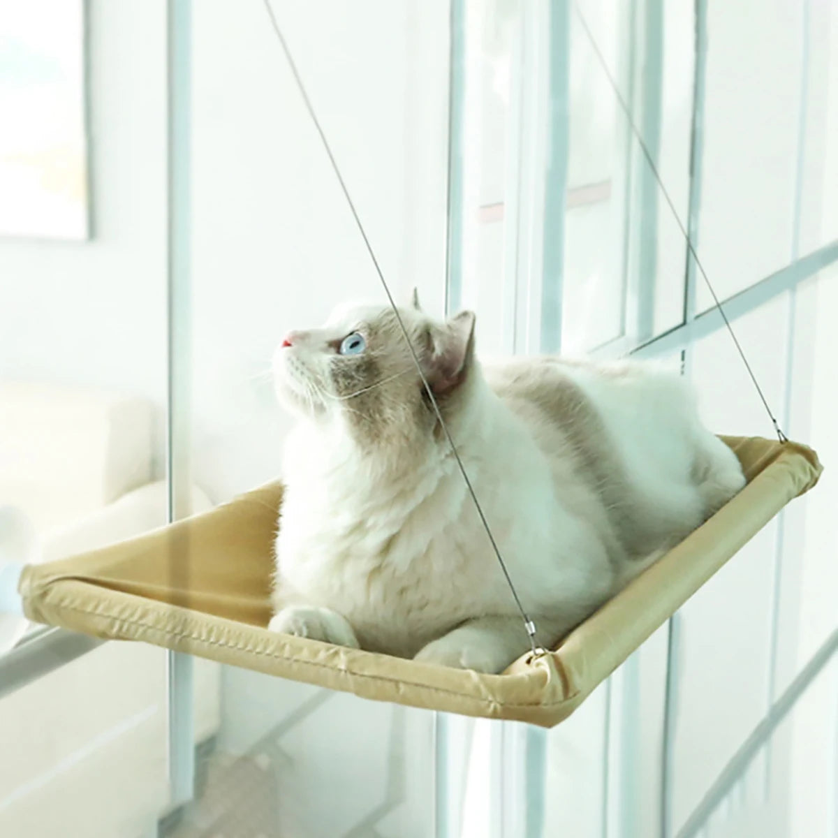 Cat Hammock Bed For Window Sunny Seat Washable And Detachable Suction Cup Shelf Pet Bed Accessories
