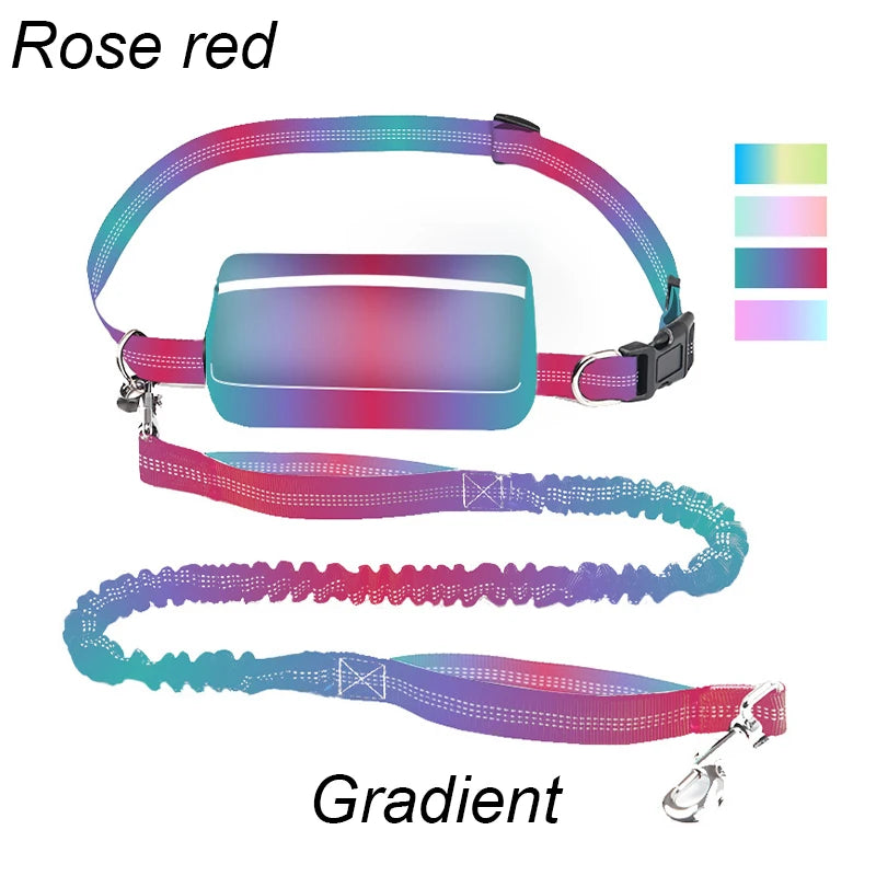 Multifunctional Sports Waist Bag Extended Hand Free Leash Adjustable for dog walking and leash pet running leash with waist bag