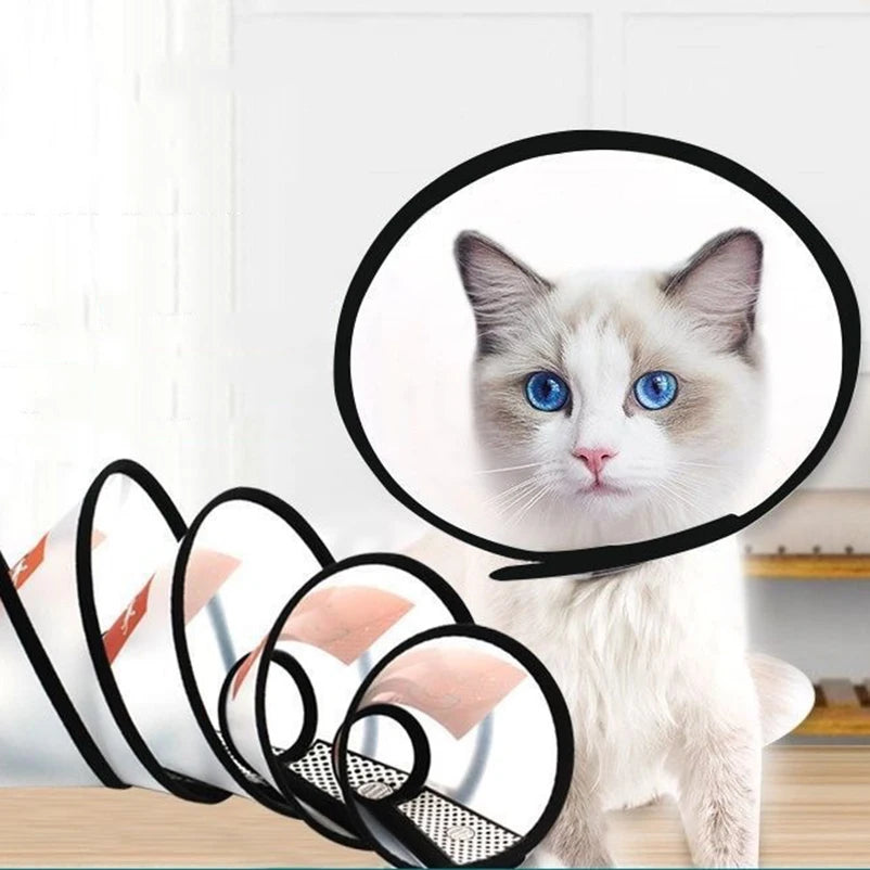 Pet Dog And Cat Collar Large Dog Medium Dog Small Dog Bite Ring Anti-scratching Collar Recovery Collar