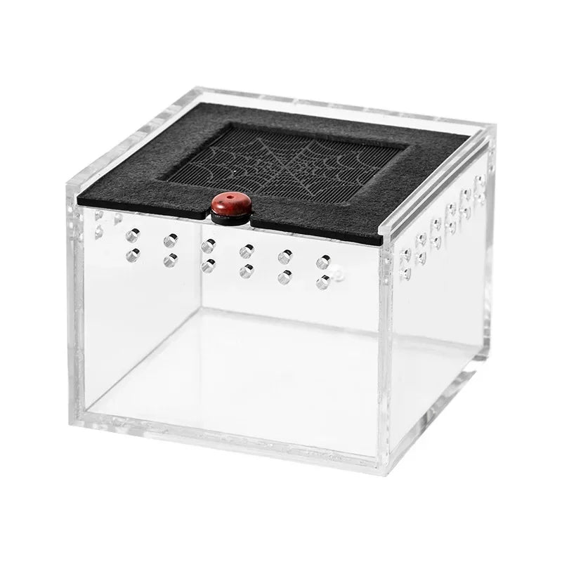 Black Acrylic Insect Feeding Box For Reptiles Lizard Silkworm Scorpion Beetle Pet House 8.5x9x6.5 cm