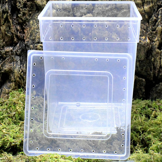 Pets Reptile Feeding Box Tarantula Enclosure Turtle Tank Aquarium Lizard Container Animals Habitat Cage For Frog Spider Gecko