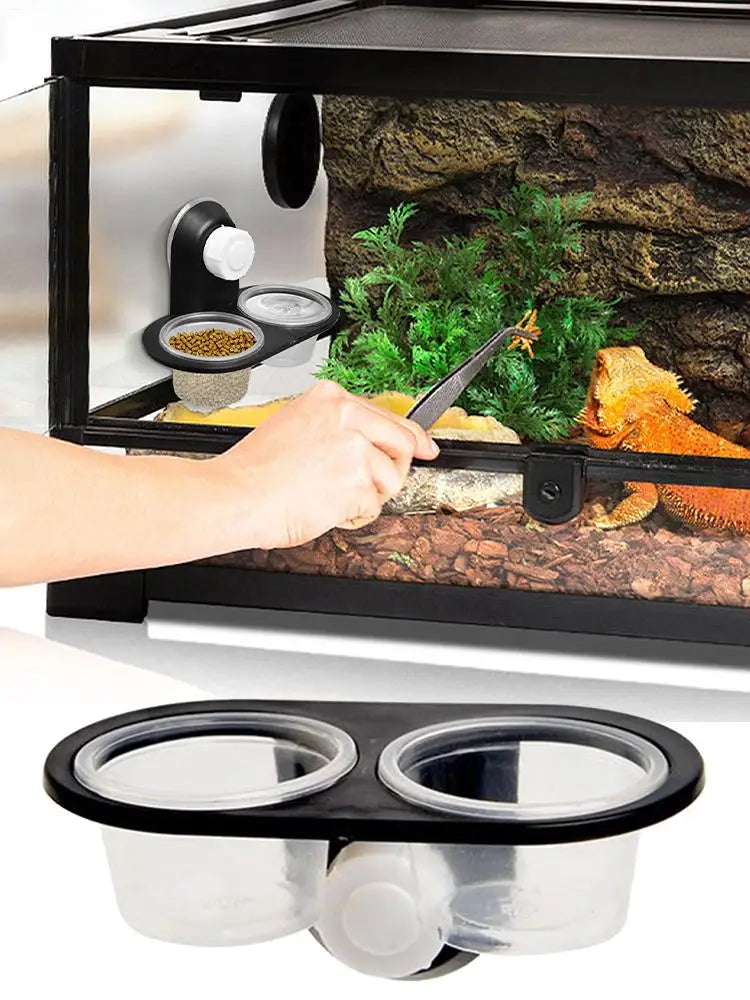 Reptile Tank Accessories Insect Spider Ants Nest Snake Gecko Food Water Feeding Bowl Terrarium Breeding Feeders Box Pets Supplie
