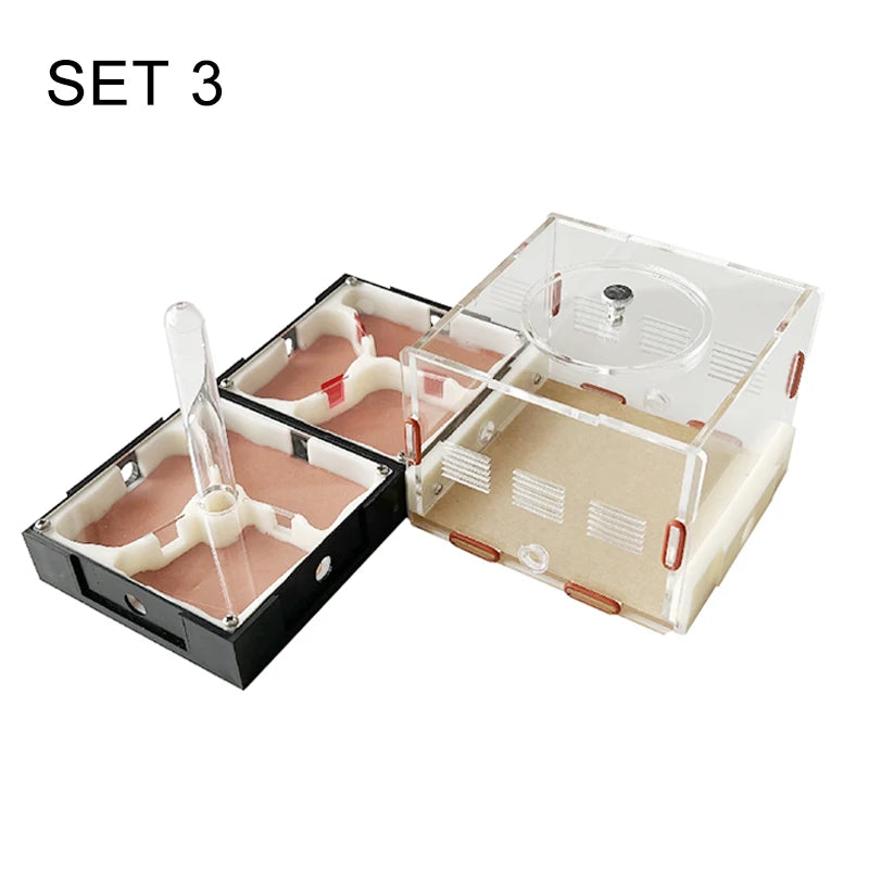 Acrylic Ant Farm Unlimited Expansion.
