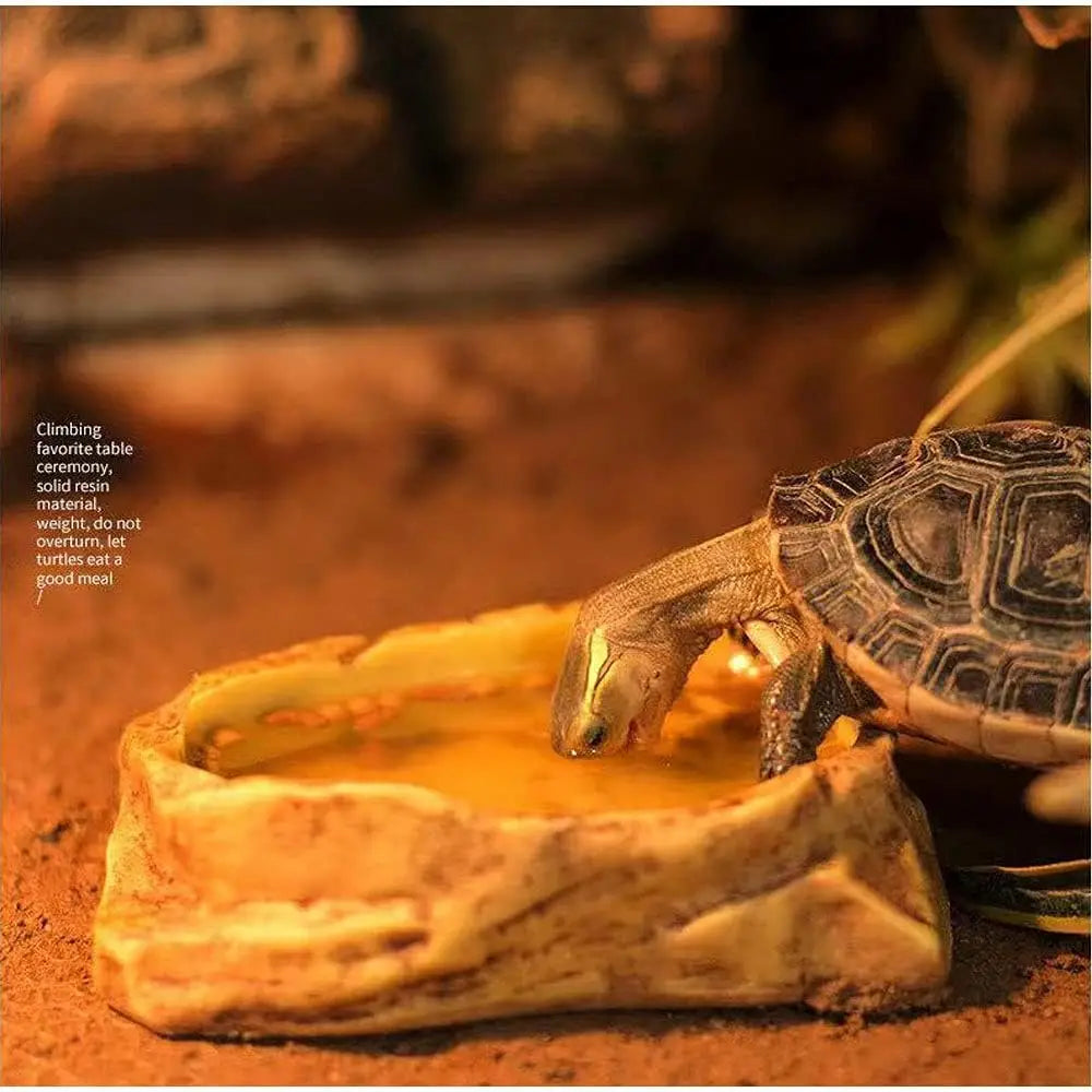 Reptile Worm Water Bowl Resin Rock Dish Plate Terrarium Tank Turtle Food Bowls for Lizard Snake Frog Scorpion Hamster Feeder