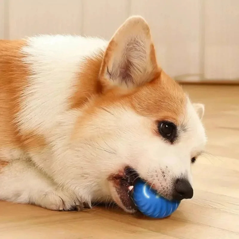 Smart Interactive Dog Toy Ball