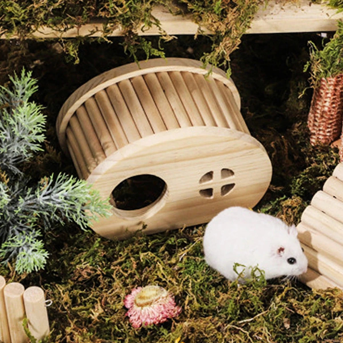 Small Pet Hamster Wooden House Sports Toys Fence Stairs Ladder Arch Bridge Nest Decoration Golden Bear Boredom Relief Toys