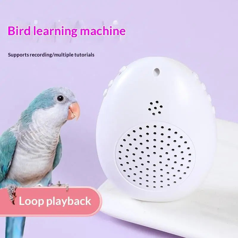 Parrot Trainer with Loop Playback Multiple Modes Portable Tool for Parakeet Daily Talking Speech Practice Training