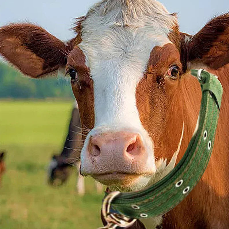 Strong Durable Belay Tie Adjustable Cattle Collar Hauling Livestock Canvas Belt Veterinary Equipment
