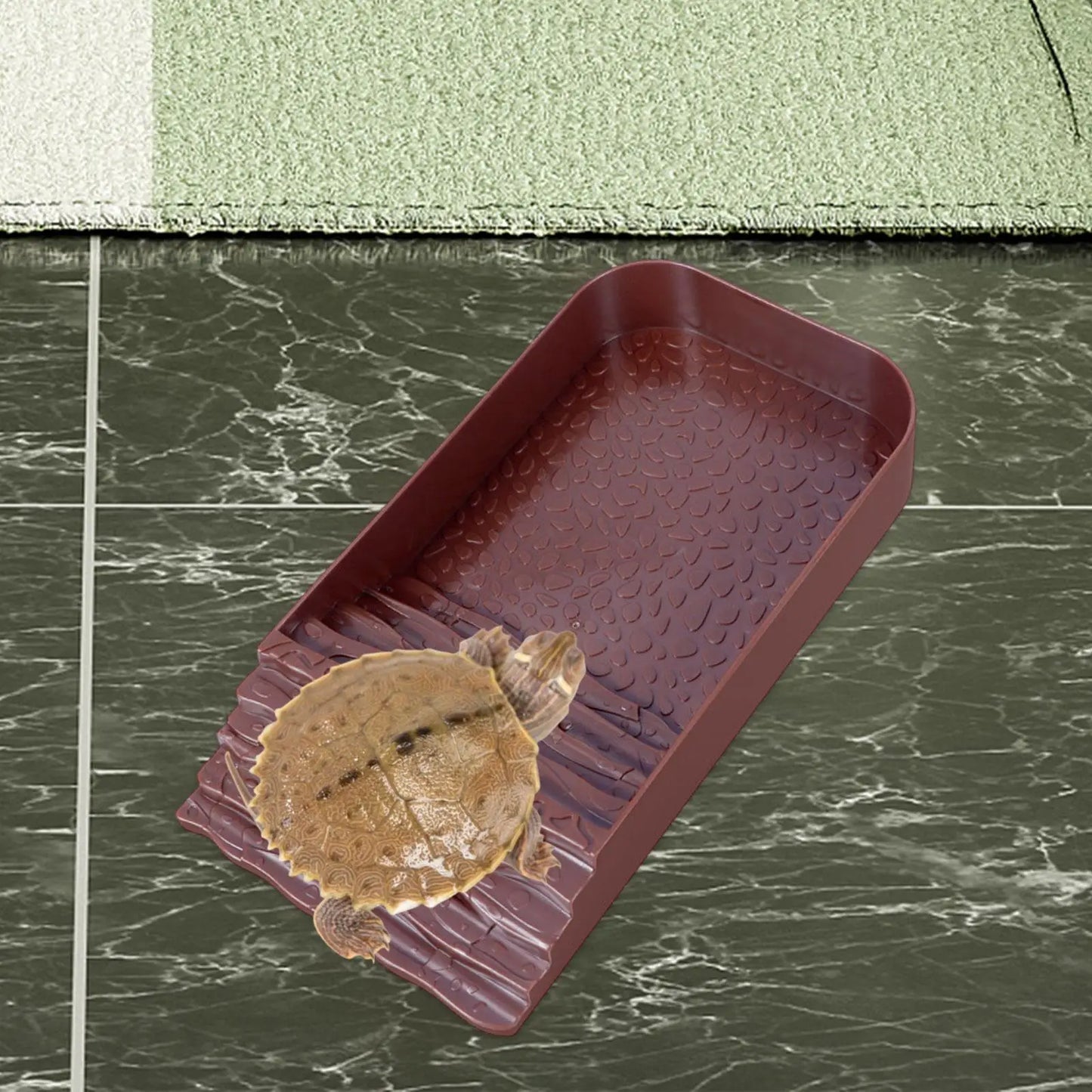 Reptile Feeding Bowl with Ramp Tortoise Food Dish Basking Platform Amphibians Water Food Bowls for Tortoise Bearded Dragon