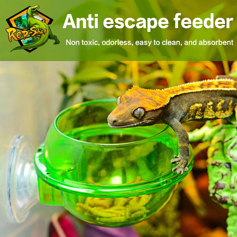 Arboreal Reptile Sucker Feeder Bowl