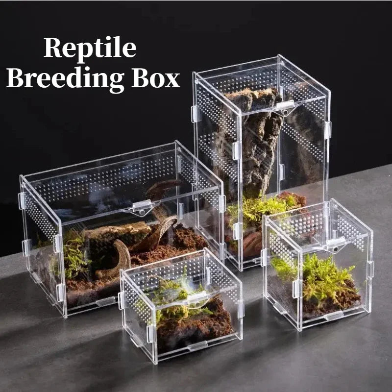 Reptile Terrarium Habitat Breeding Box Acrylic Transparent Reptiles Cage Nano Arboreal Tarantula Enclosure Dearded Dragon 파충류