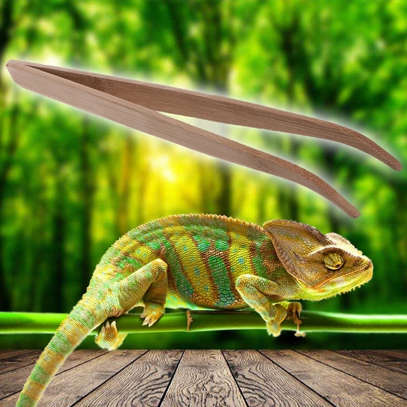 Bamboo Reptile Feeding Tweezers