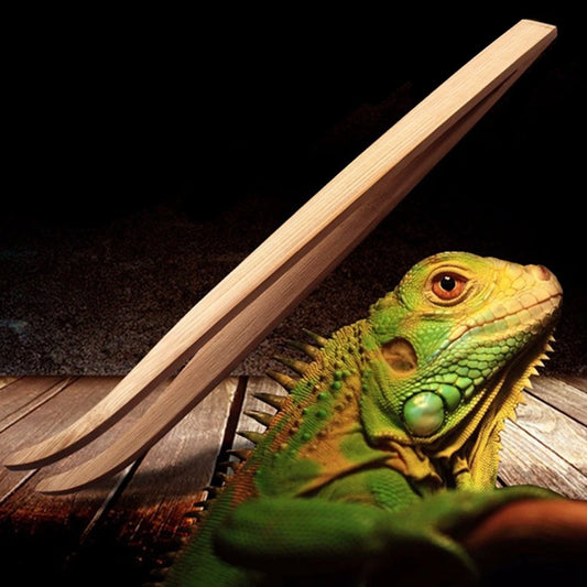 Bamboo Reptile Feeding Tweezers