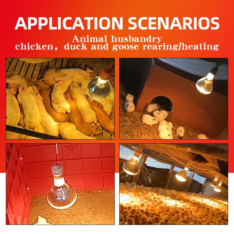 E27 Poultry Heating Lamp Breeding Bulb For Pigl High Quality 100/150/200/250/275W LED Light Pet Brooder Hatch Chick Heater Bulb
