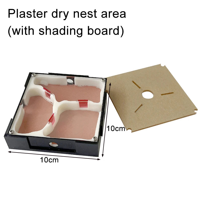 Acrylic Ant Farm Unlimited Expansion.