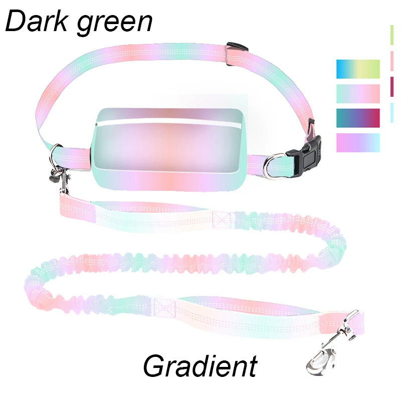 Multifunctional Sports Waist Bag Extended Hand Free Leash Adjustable for dog walking and leash pet running leash with waist bag