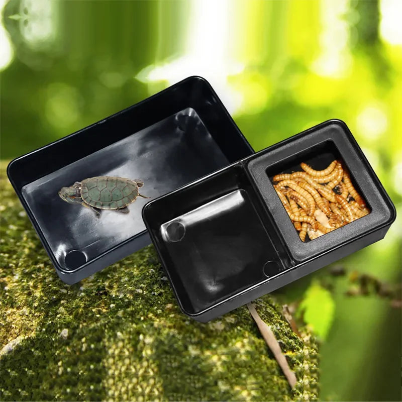 Title (SEO, ≤40 chars): 2-in-1 Reptile Feeder Bowl Keeps Tidy
